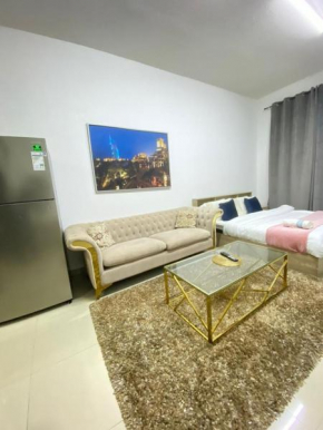 Entire apartment